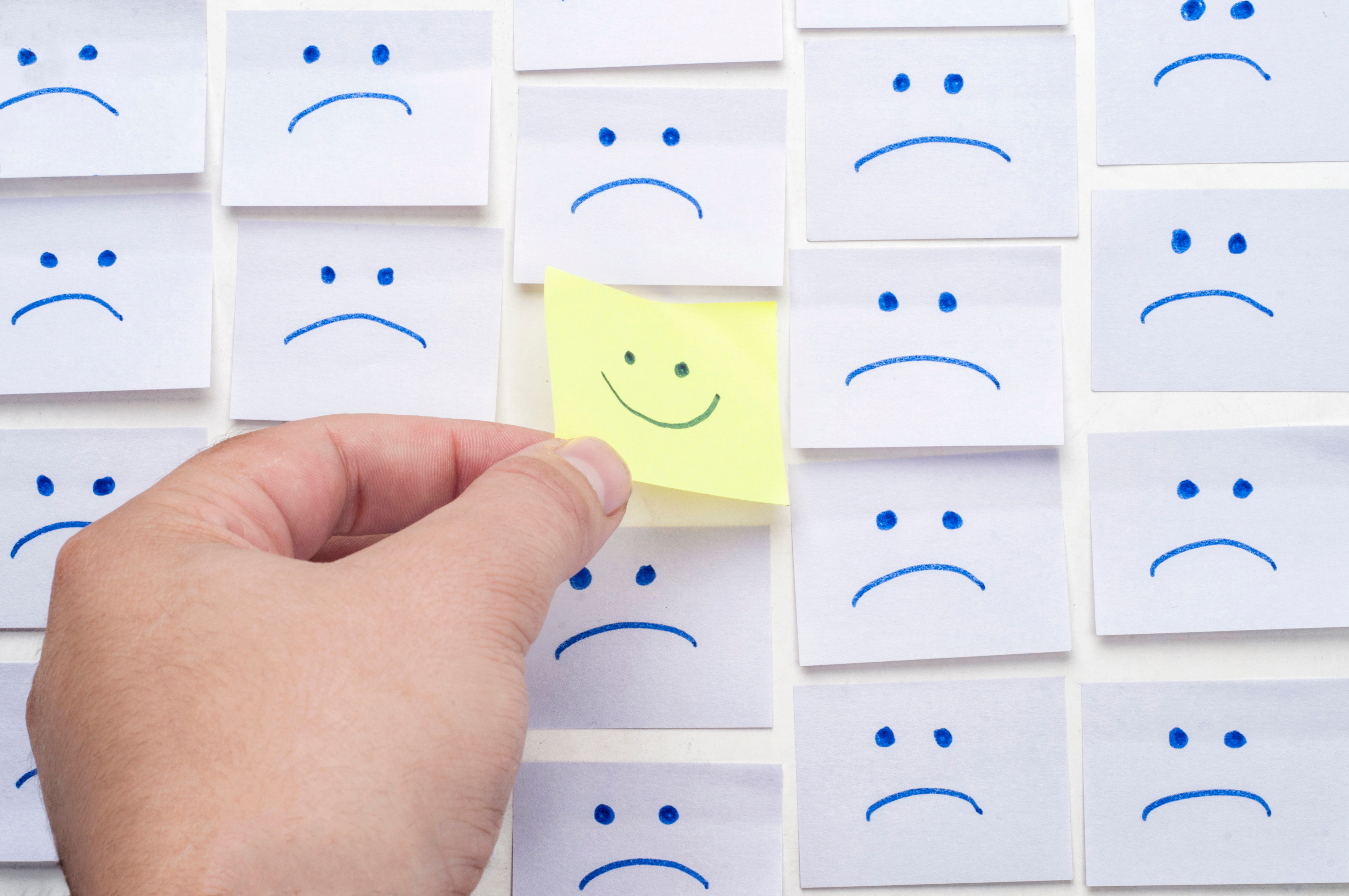 Choosing the Right Vendor for Your Training Needs: A Vendor’s Perspective